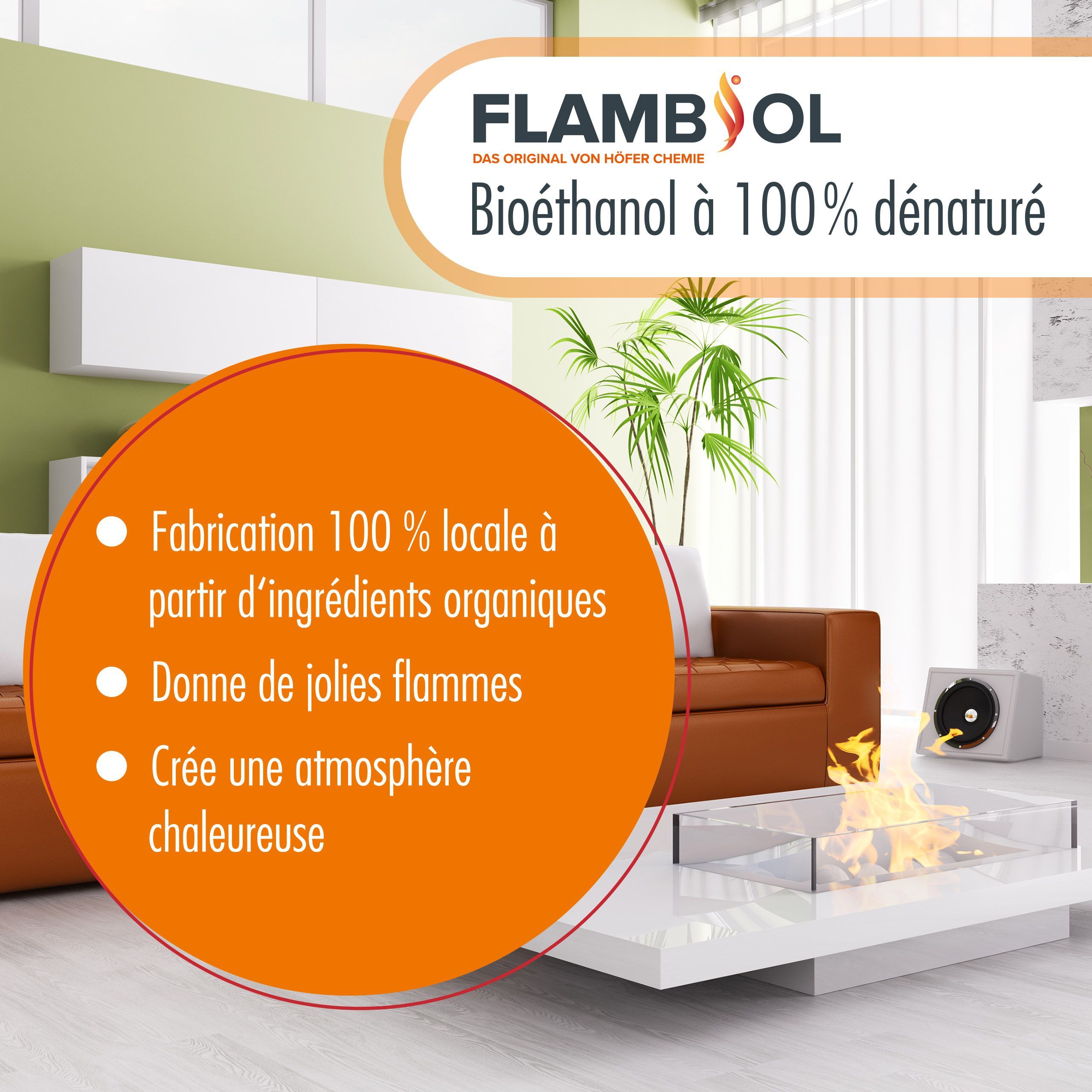 10 L FLAMBIOL® Bioéthanol 96,6% Premium pour cheminée à éthanol en bidons